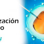 La fertilización in vitro (Fecundación)