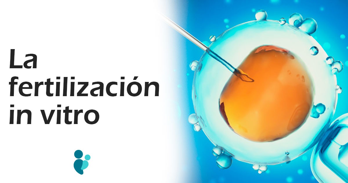 La Fertilización In Vitro Fecundación Clínica Parada 1006